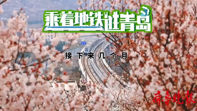 乘着地铁逛青岛丨青岛的赏花季就要来啦，带您乘着地铁去赏花