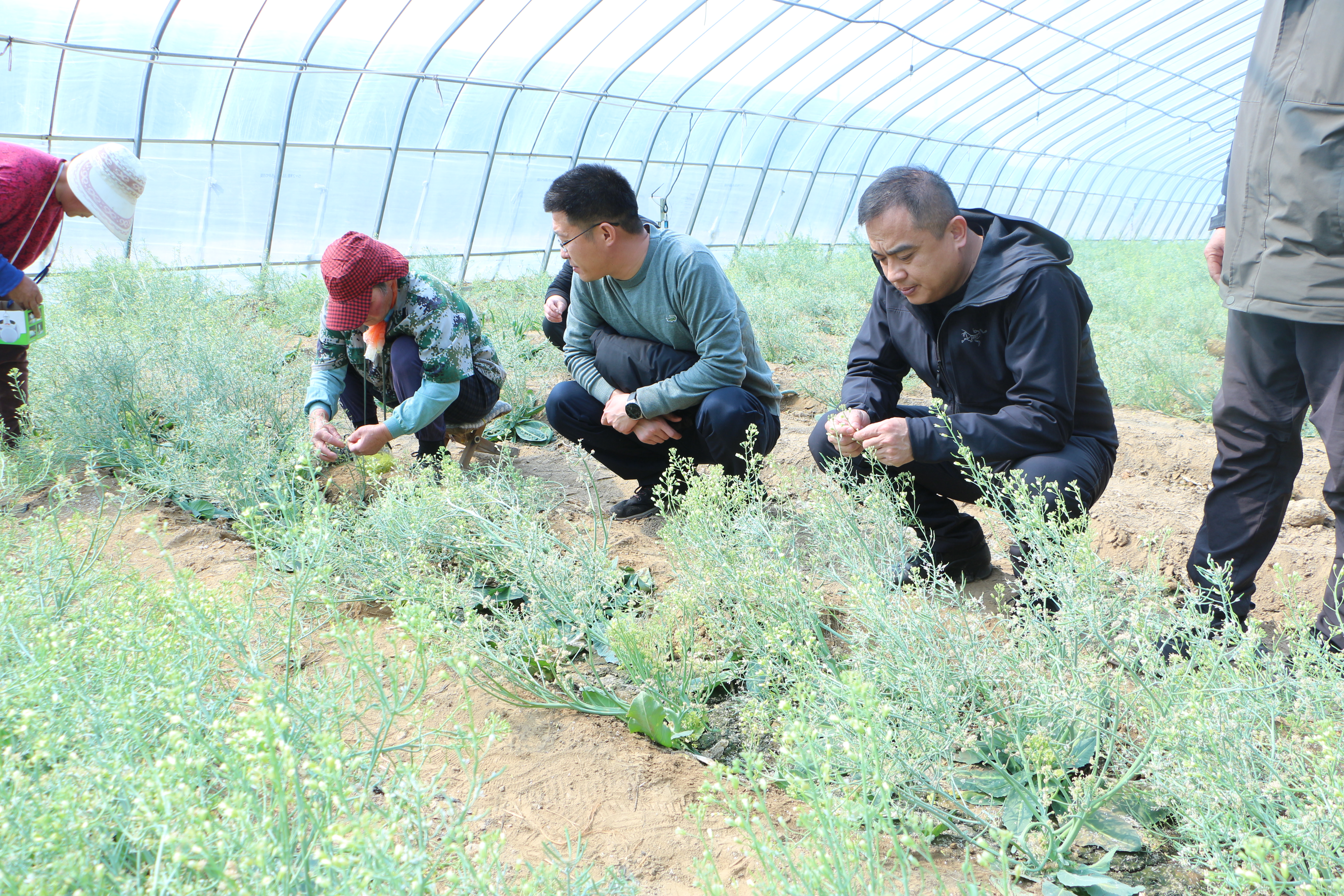 博兴县吕艺镇科技镇长入基层抢抓时节育动能