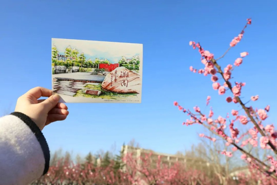 春风十里，赏花走起！快来临沂大学赴一场浪漫鲜花之旅