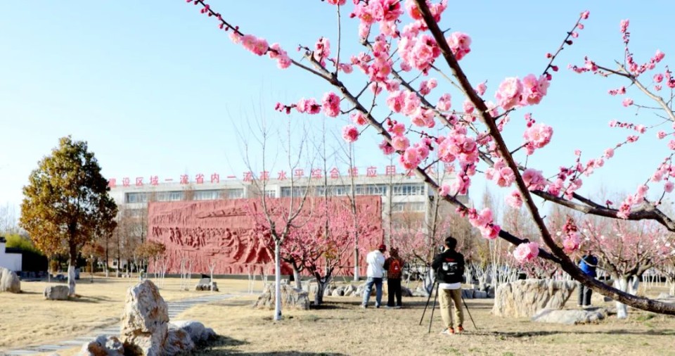 春风十里，赏花走起！快来临沂大学赴一场浪漫鲜花之旅