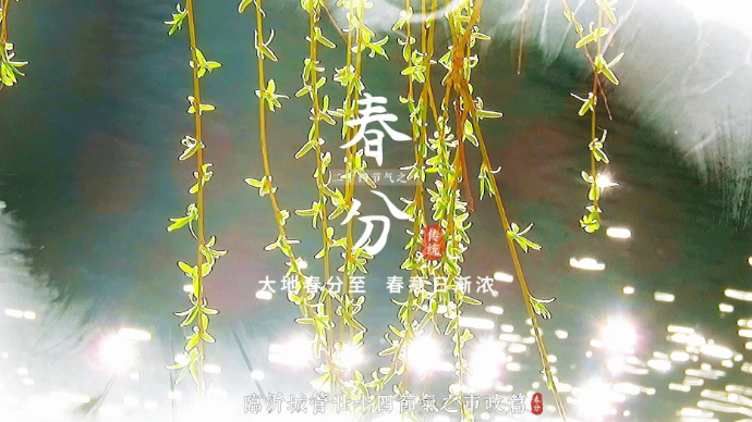 果然视频|临沂城管廿四节气之市政管理篇