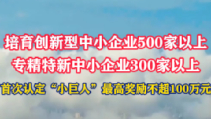 青岛市民营经济发展局今年要做这40项重点工作