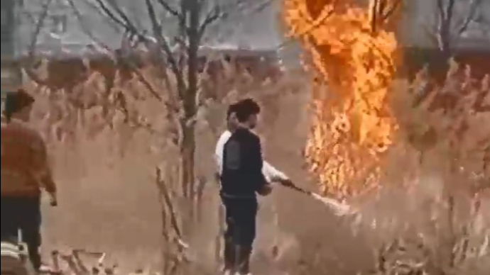 点赞！乐陵四少年勇敢救火，守护绿色家园