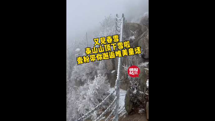 果然视频|泰山山顶下春雪啦！情报员带你邂逅唯美童话