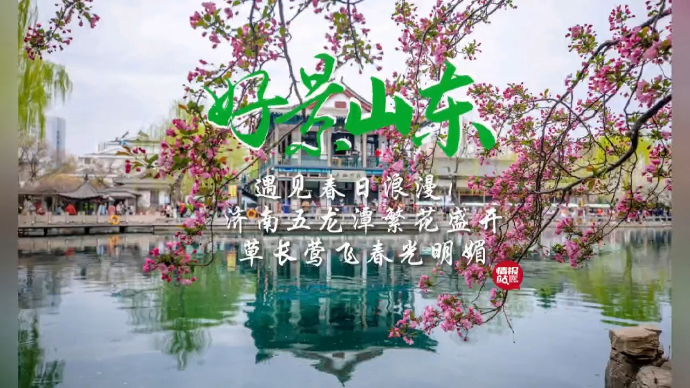  果然视频·好景山东|济南五龙潭繁花盛开，遇见春日浪漫！