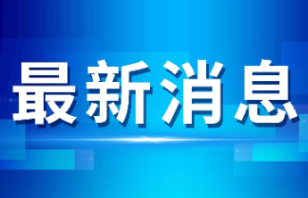 权威解答来啦！临沂启用“鲁W”号牌，您关心的问题都在这