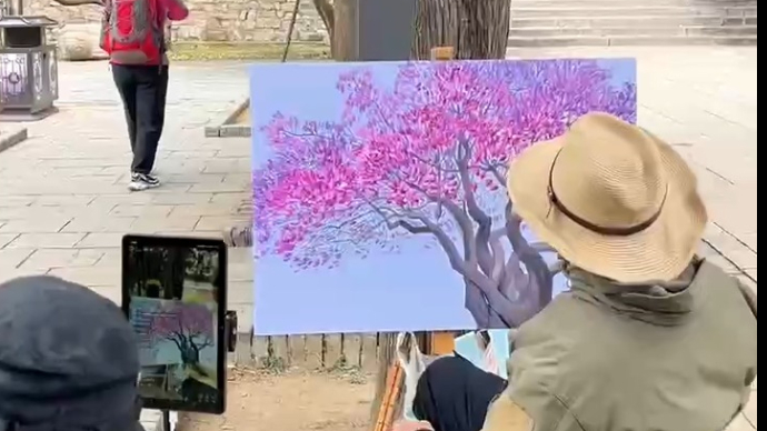 视频丨泰安岱庙紫玉兰花开，游客现场直播作画，引路人驻足观赏