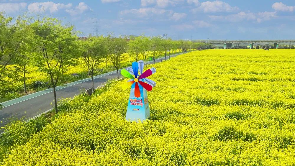 邂逅济宁③丨暧暧远人村 依依故乡情