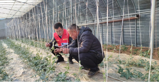 昌乐农商银行金融春雨助力春耕正当时