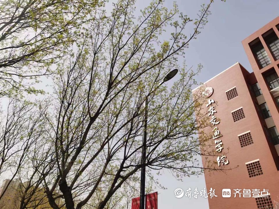 悦读大学|山东交通学院向公众开放!来看油菜花吧-齐鲁晚报网
