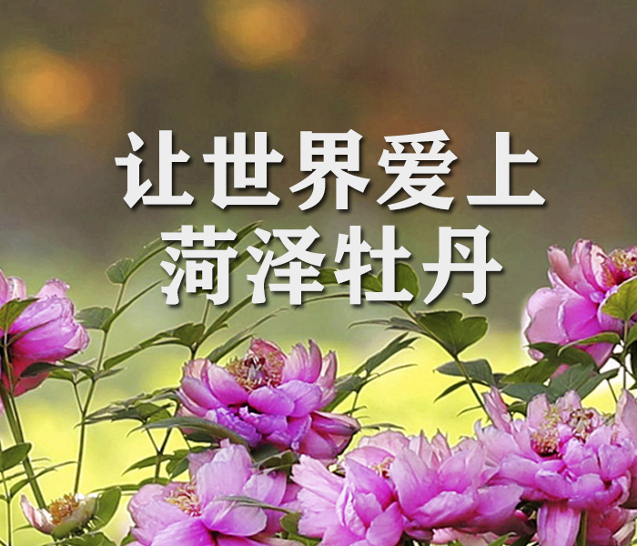 世界那么大，来菏泽赏牡丹吧！第33届菏泽国际牡丹文化旅游节将于4月份举办，面对世界游客，菏泽已经准备好了！