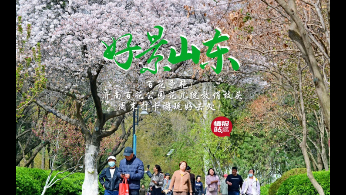 果然视频·好景山东|济南百花公园百花争艳美不胜收，打卡好去处