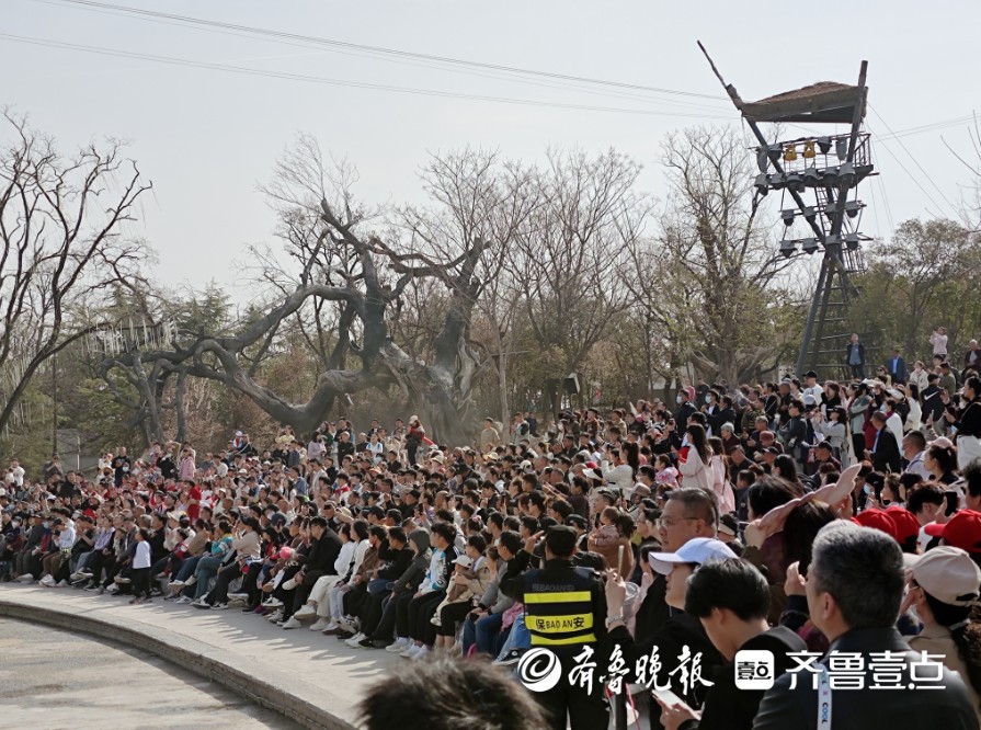 清明节订单量同比增长超5倍，“王婆”给开封不断上分