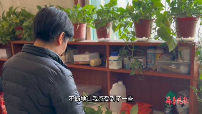 果然视频｜“鲜花相伴 海风送拂” 济南海葬可奖补4000元