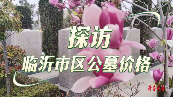 果然视频|探访临沂市区公墓，低价墓是“主流”