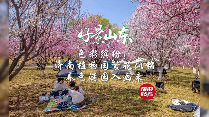 果然视频·好景山东|济南植物园繁花似锦，春色满园入画来！