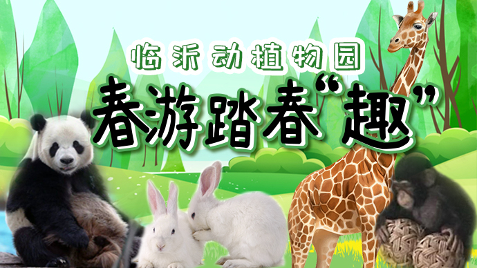 壹直播|去临沂动植物园踏春“趣”