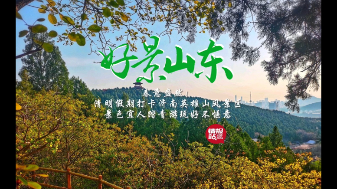 果然视频·好景山东|假期打卡济南英雄山春意盎然，风景这边独好