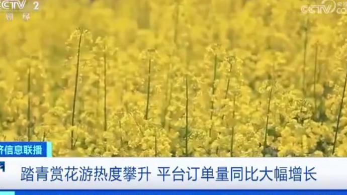 “赏花”搜索第一，清明假期踏青赏花游热度增超7倍