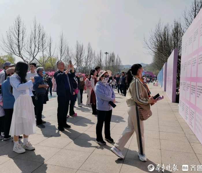 桃花春色暖先开，明媚谁人不看来。4月6日上午，由中共钢城区委、钢城区人民政府主办，齐鲁晚报·齐鲁壹点、汶源街道、昌源水务承办的“觅浪漫桃花 享齐风鲁韵——千佛山相亲会钢城分会场”于钢城大汶河广场汶水公园甜蜜开幕。大家齐聚美丽的大汶河畔，共同奔赴一场浪漫的春日之约。