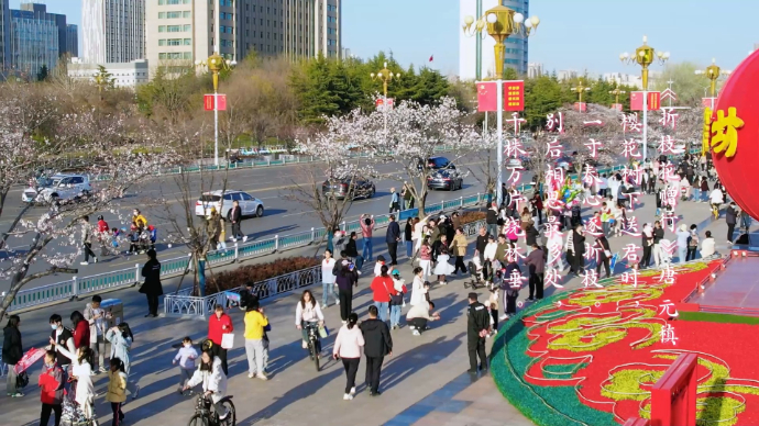 好景山东·赛诗卉|潍坊樱花烂漫，人民广场成春日赏花打卡地