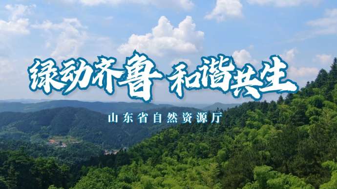 预热视频丨第三届山东省森林文化周即将启幕