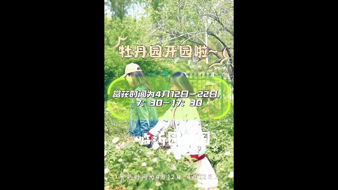 好客山东 亲情沂蒙|临沂牡丹园12日开园，邀你共赏国色天香