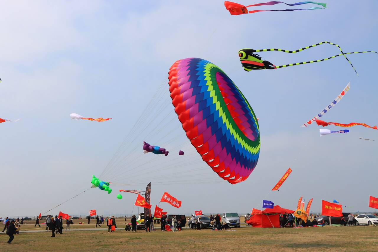 千只风筝争奇斗艳,2024潍坊风筝大赛在潍坊滨海开赛