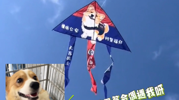 果然视频|来第41届潍坊国际风筝会，看警犬福仔专属风筝飞上天