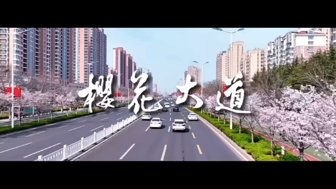 果然视频 | 威海世昌大道的“樱花大道”藏不住了