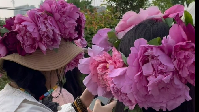 总要来体验一次菏泽的簪花吧 感受国色天香戴在头上的魅力