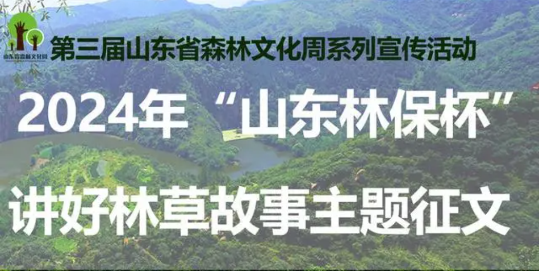 关于2024年“山东林保杯”征文活动获奖情况的通报