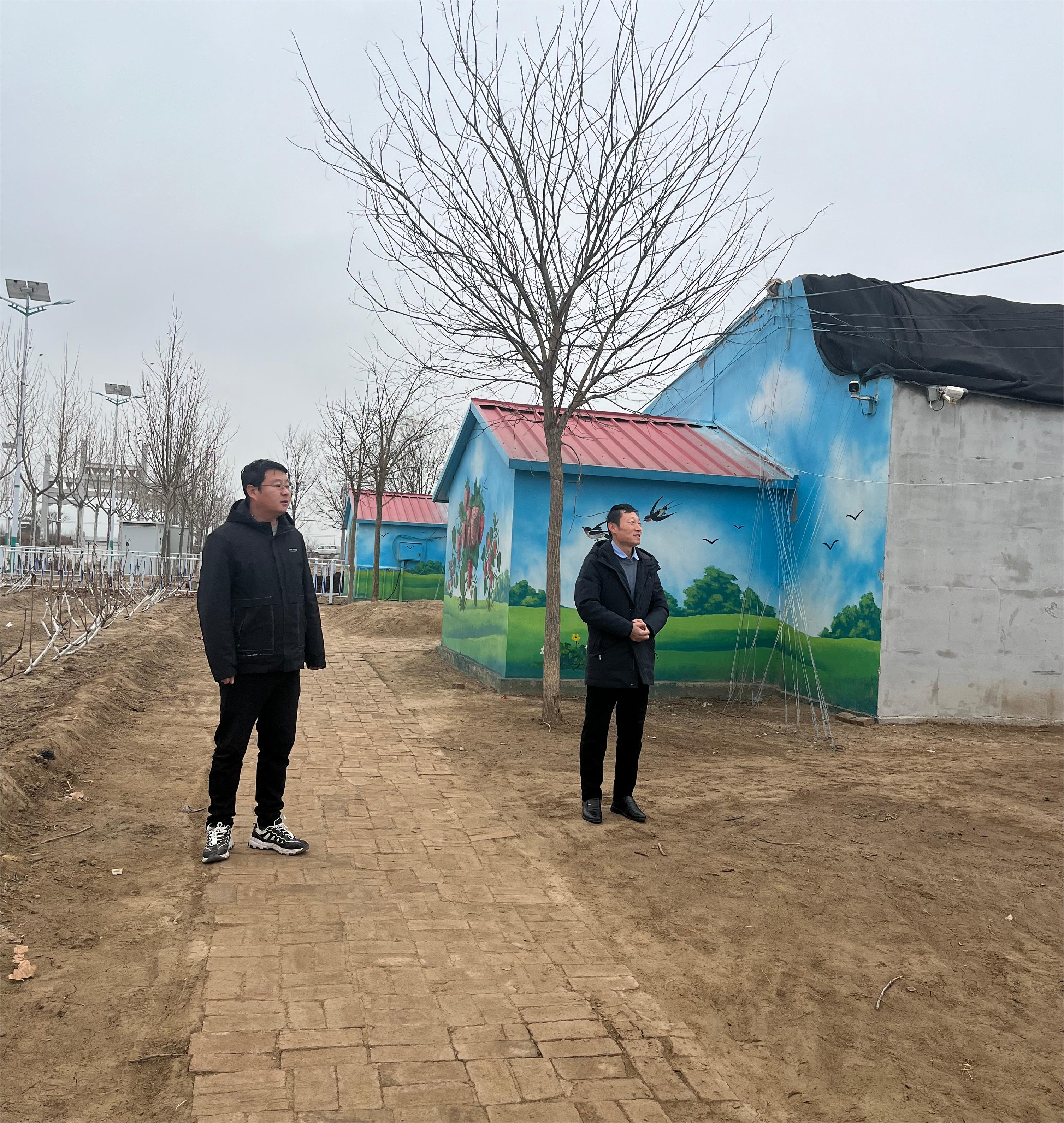 阳信县洋湖乡加强产业项目巡查助力设施农业发展