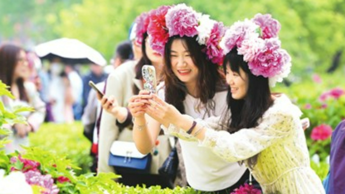 牡丹花开 绽放中华之美——二〇二四菏泽牡丹国际传播论坛举办