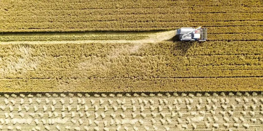 当济宁港航遇见鱼台大米……