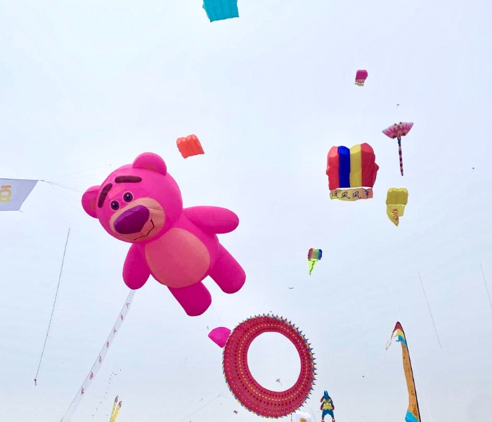 2024潍坊风筝嘉年华暨第41届潍坊国际风筝会以“放飞梦想 拥抱世界”为主题，由国际风筝联合会、中国风筝协会主办，于4月19日晚在潍坊奥体公园体育场举办开幕式及文艺演出。4月20日至21日在世界风筝公园举行世界风筝锦标赛、潍坊风筝大赛、万人风筝放飞等活动；另外，分别在潍坊浮烟山风筝文化旅游基地、滨海国际风筝放飞场安排符合场地条件的风筝赛事和放飞活动。

