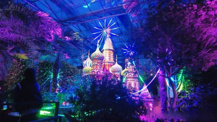 壹直播|菜博会奇妙夜再升级，来潍坊寿光开启一场菜乡奇幻之旅