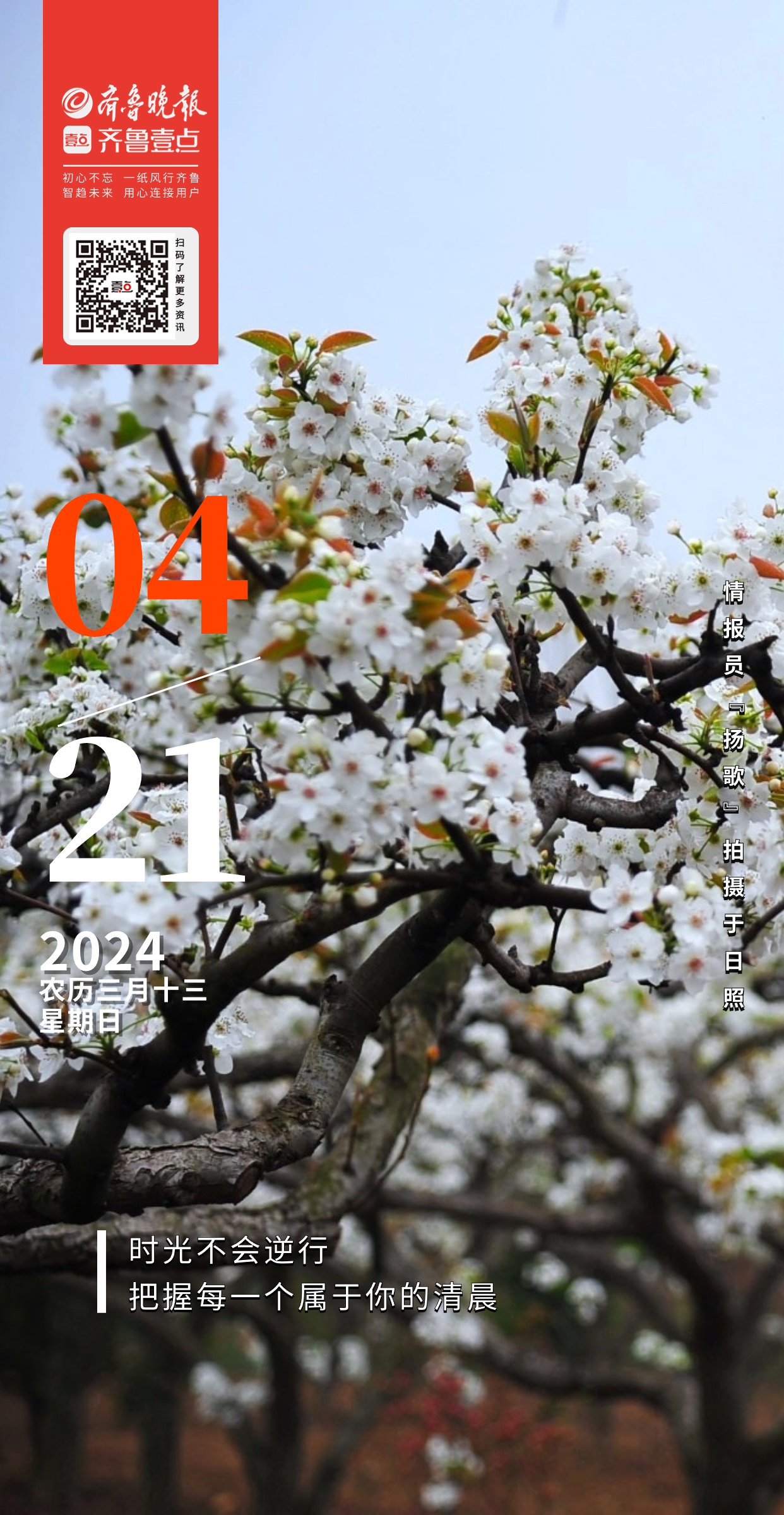 空中俯瞰章丘平陵古城田园,各种苗木,秧苗在春风的唤醒下茁壮成长