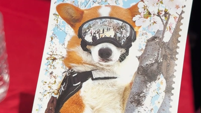 果然视频|潍坊国际风筝会现场福仔明信片免费送，还盖有专属印章