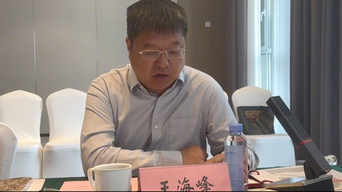 圆桌分享会王海峰:书写城市应关注当下,挖掘历史文化,突出时代和意义