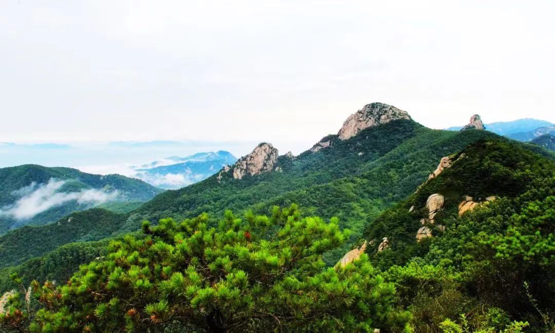 音乐节、快闪演艺、萌宠互动……五一来云蒙景区，踏青游玩放肆嗨