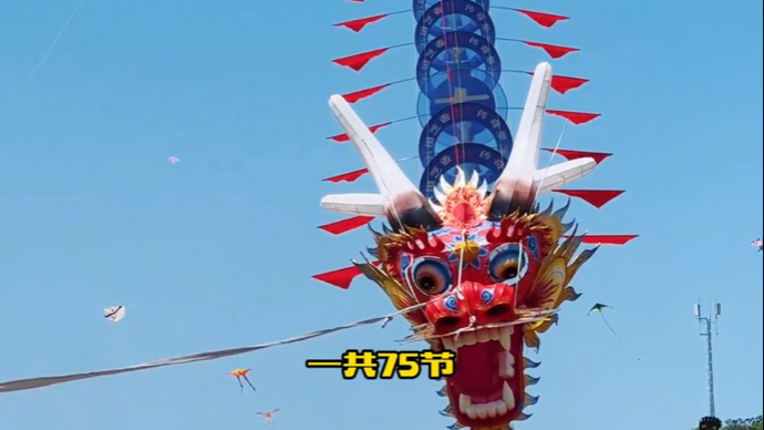 果然视频|潍坊风筝“大制作”，近十人放飞总长186米景酒巨龙