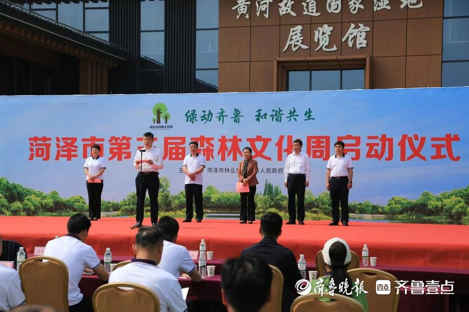 曹县森林文化周启动：5只伤愈猛禽重归大自然