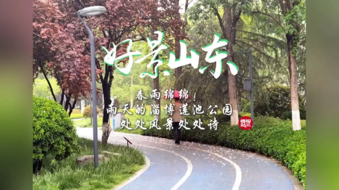 果然视频·好景山东|春雨绵绵！淄博莲池公园处处风景处处诗