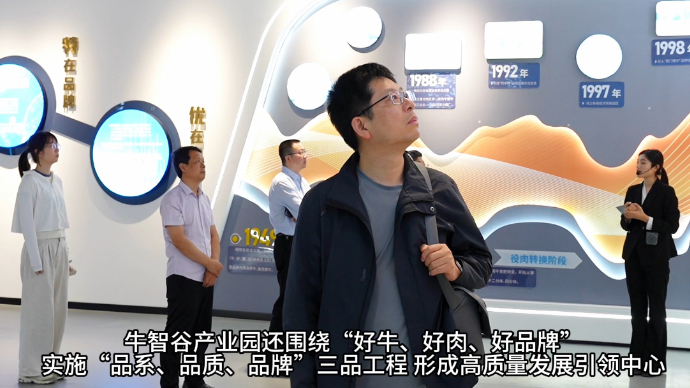 阳信县聚合产业优势 引领肉牛产业新质发展