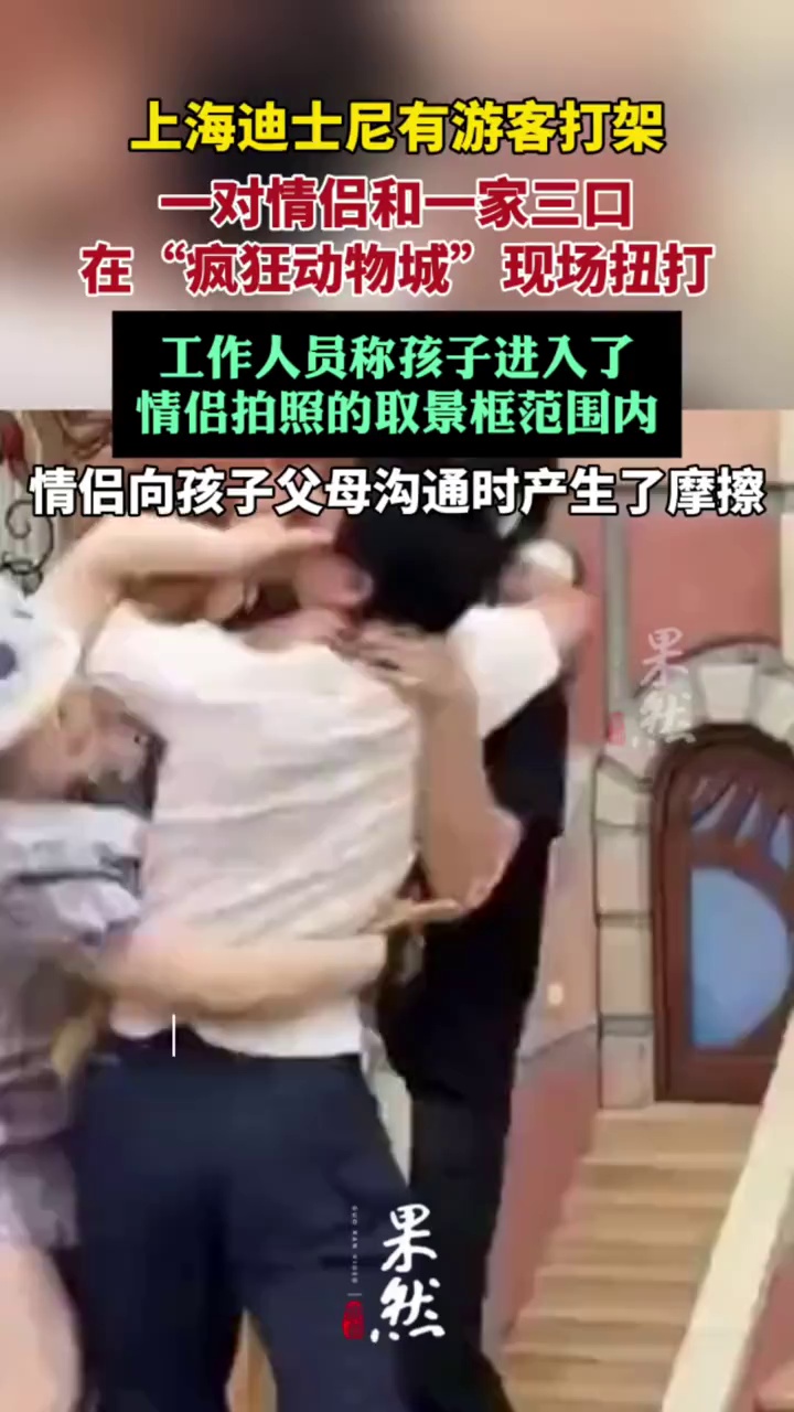 属地部门回应上海迪士尼游客打架：因孩子进入对方取景框起冲未受伤（新京报）