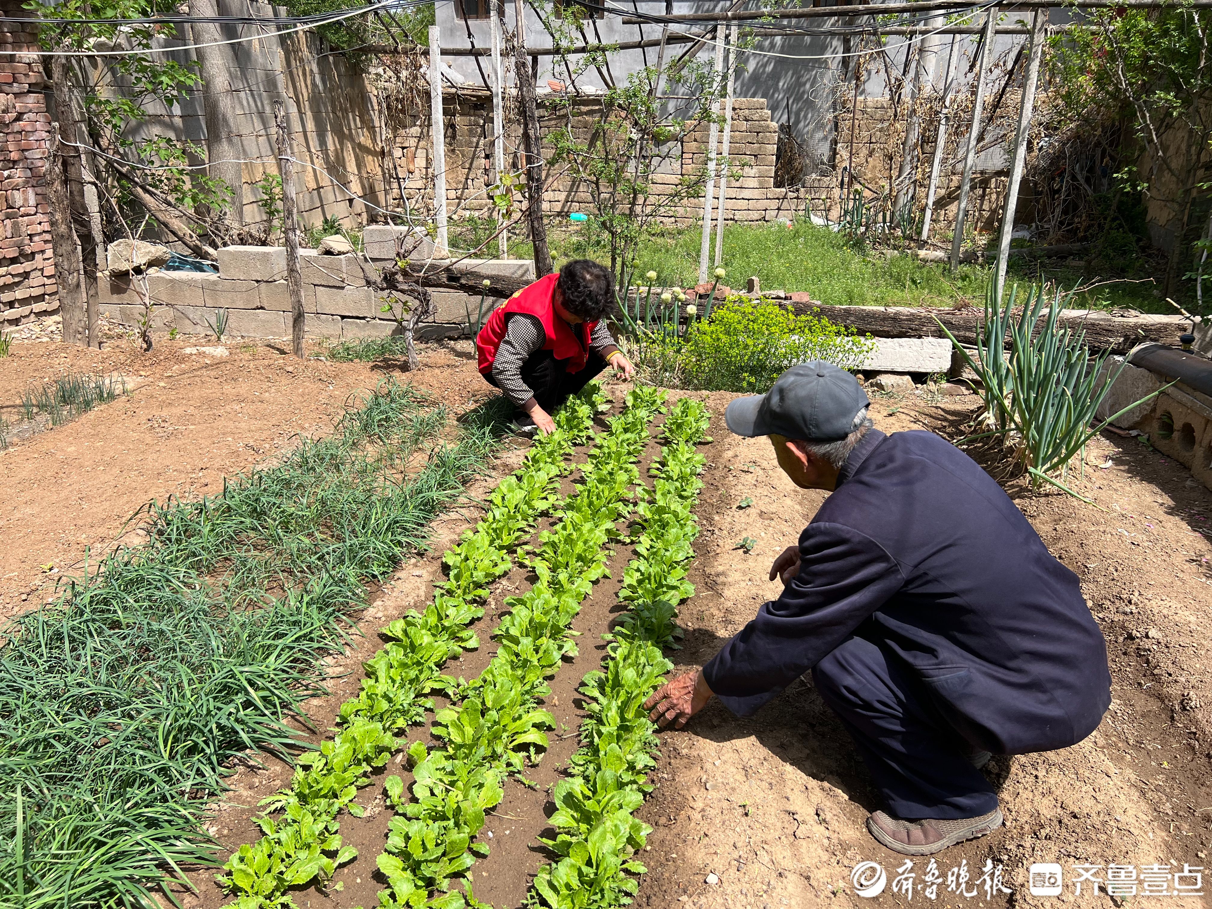莒县康馨颐养医院养老服务记㉙：让贴心服务助力老人的幸福晚年