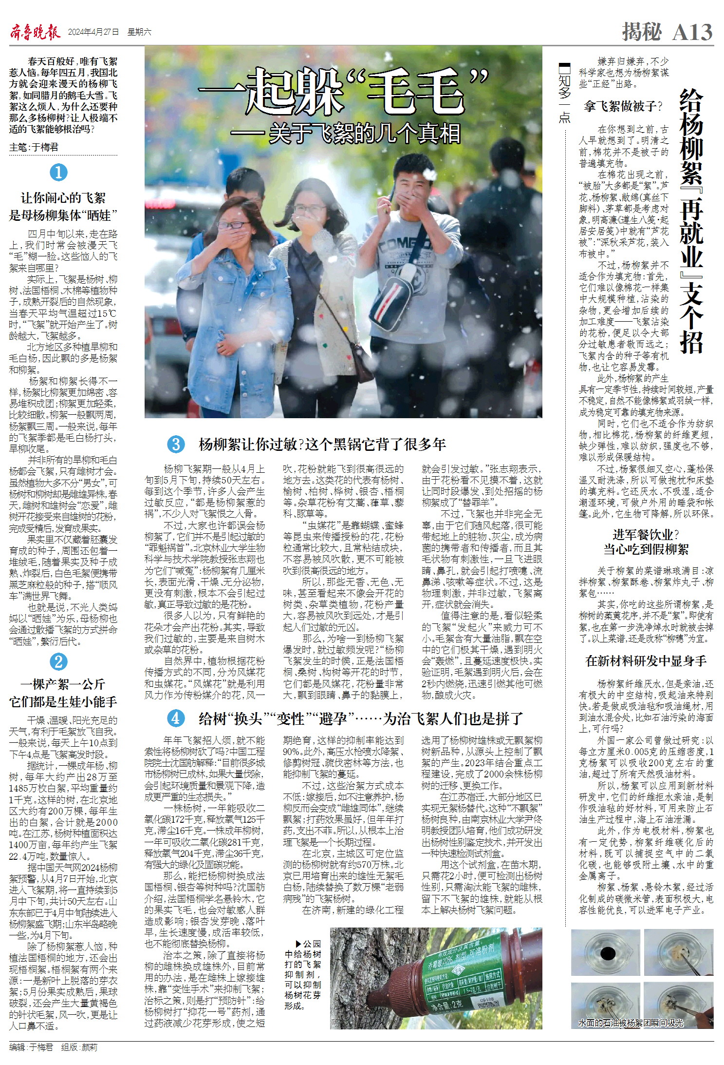 揭秘|漫天"毛毛"惹人恼,其实它也"背黑锅"好多年