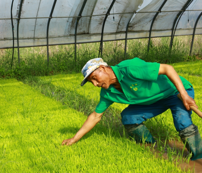 在这美好的假期里，摄影师们用镜头聚焦他她它们的美丽身影，有相聚，有笑脸，有温情……
他她它们可能是正在加班的劳动者，可能是游玩的市民，可能是奔跑的孩子，也可能是相依的老人……