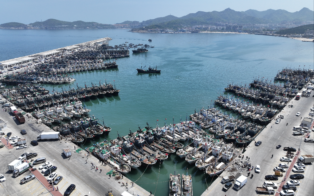 5月1日上午10时许,在威海市远遥中心渔港,不少渔船正在驶向码头,准备